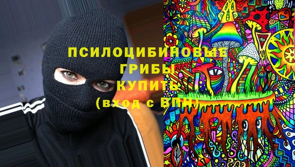 дживик Алзамай