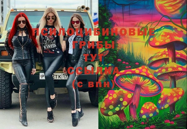 соль курить ск Алексеевка