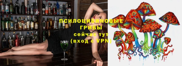 дживик Алзамай